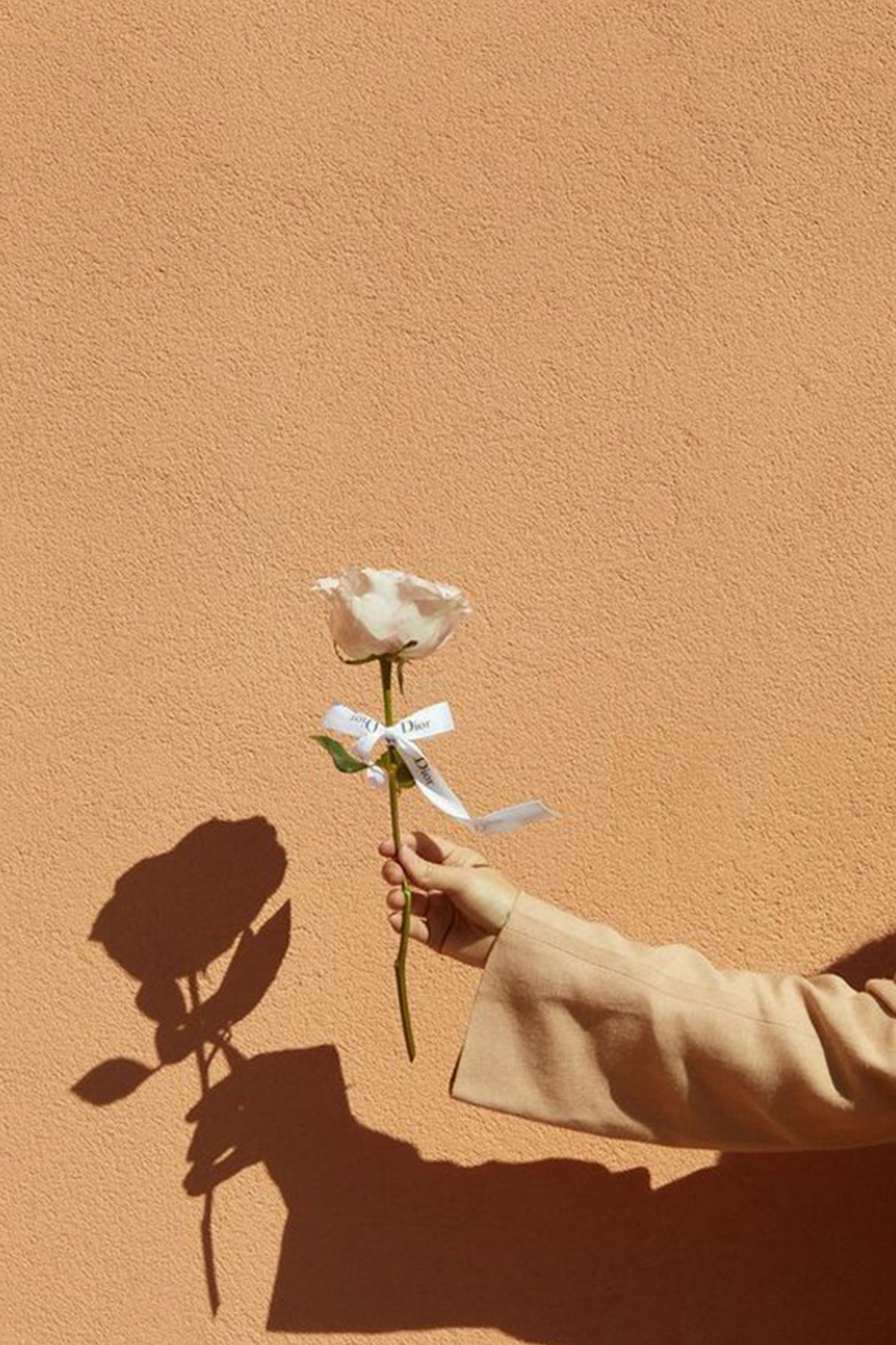 Price your digital products